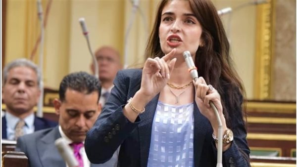 النائبة إيرين سعيد،