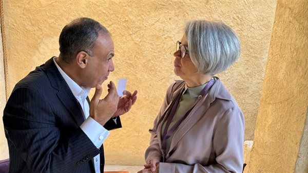 وزير الخارجية يلتقي