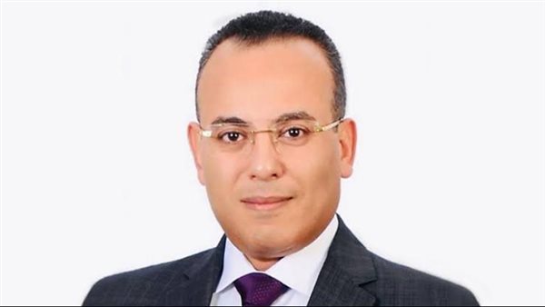 المستشار أحمد فهمي