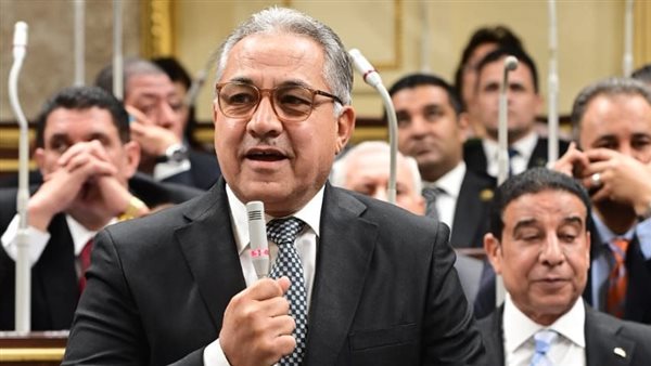 النائب أحمد السجيني