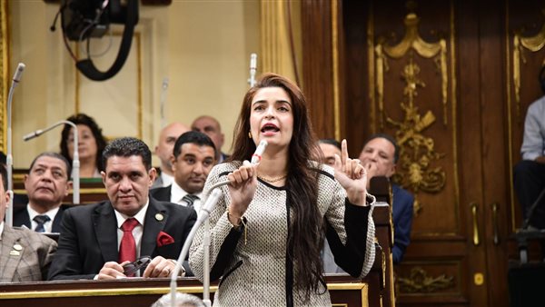 النائبة ايرين سعيد،