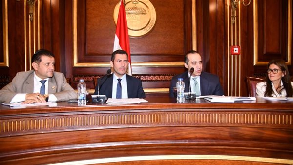 صناعة النواب 