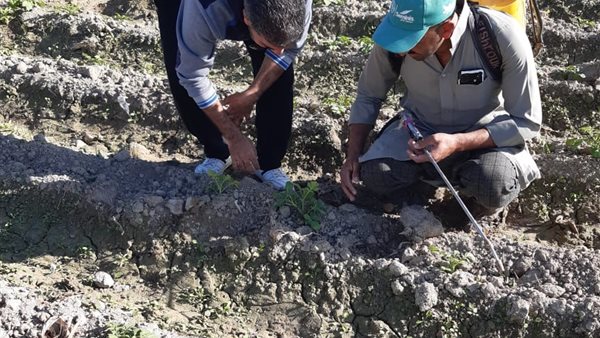 لجان المرور والمتابعة