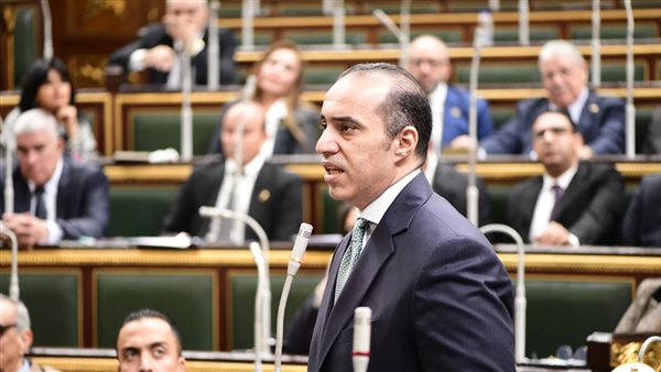 الوزير محمود فوزى