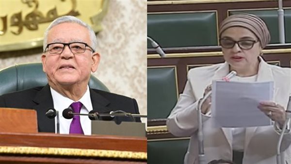 النائبة سميرة الجزار،