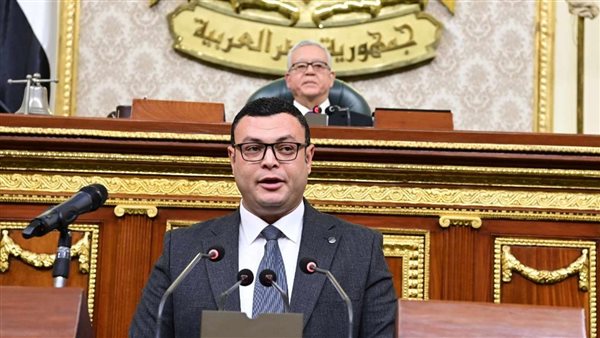 المهندس شريف الشربيني،