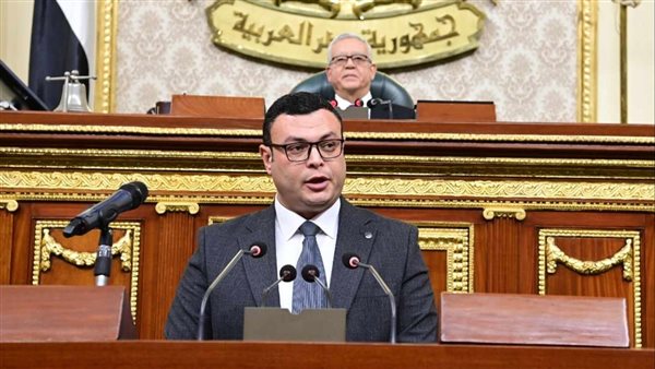 المهندس شريف الشربيني،