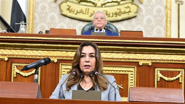 وزيرة التنمية المحلية