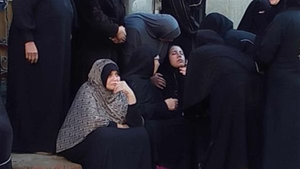 أسرة محمد شوقي