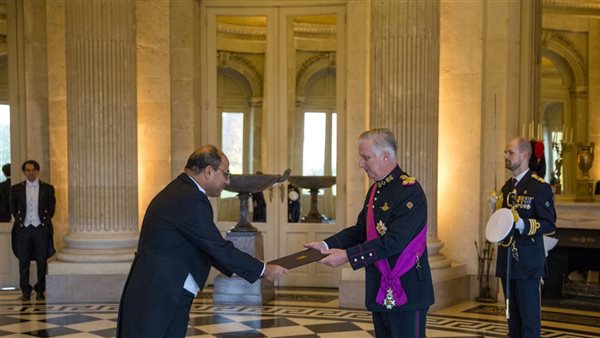 السفير المصرى لدى