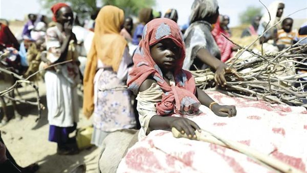 قانون لجوء الأجانب