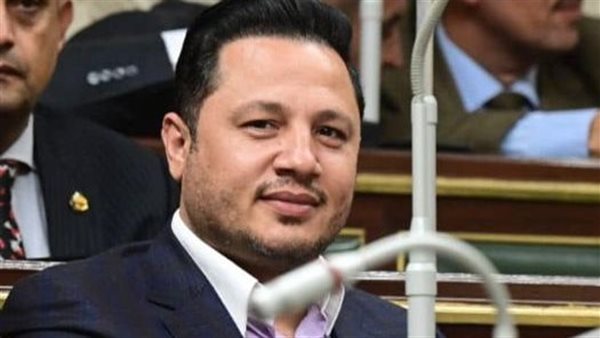 النائب سيد سمير