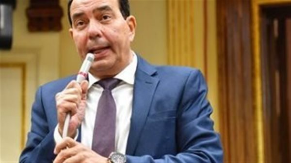 النائب أيمن أبو العلا،