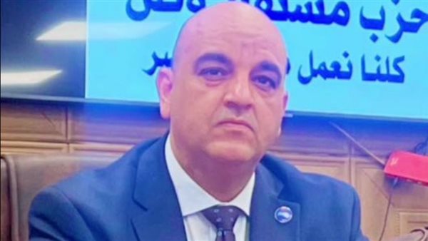 المستشار محمد فوزي