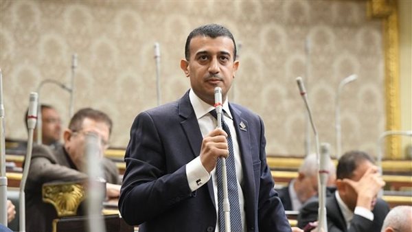 نائب التنسيقية طارق