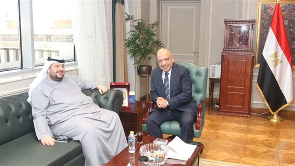 وزير الكهرباء 