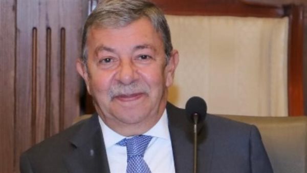 السفير عمرو حلمي