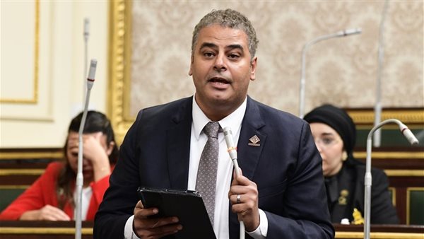 نائب التنسيقية نادر