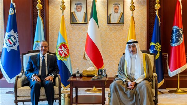 بدر عبد العاطي -