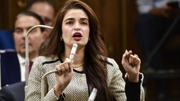 النائبة ايرين سعيد،