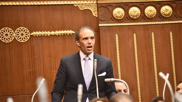 النائب محمد فريد،