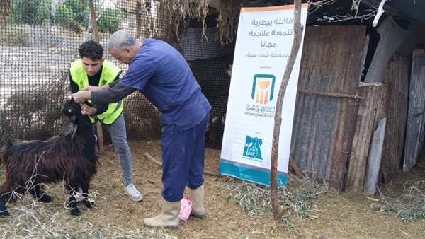 جانب من القافلة