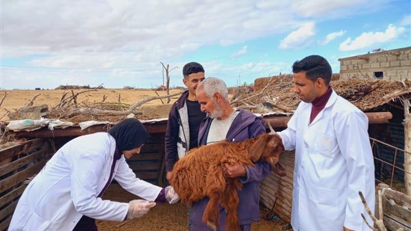 جانب من عمل القافلة