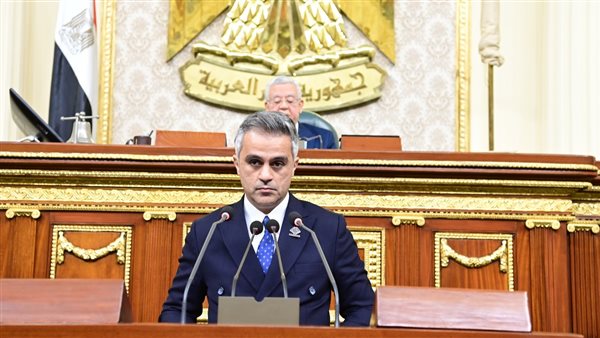 النائب أحمد فتحي