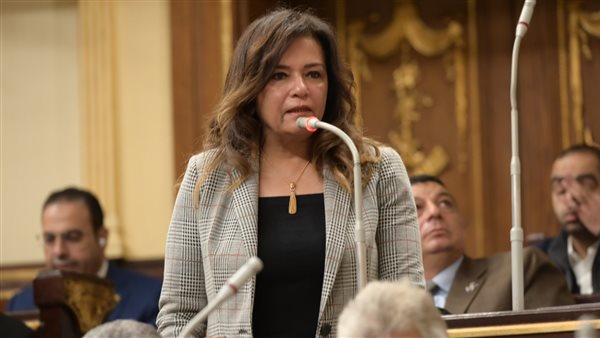 النائبة سحر طلعت