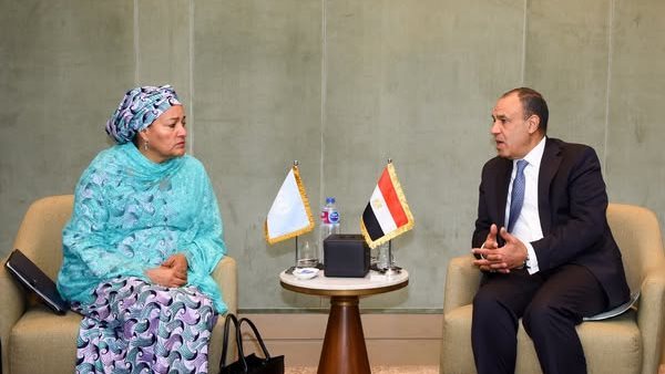 وزير الخارجية - نائبة