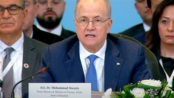 محمد مصطفى رئيس الوزراء