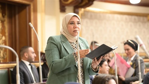 النائبة هيام الطباخ،