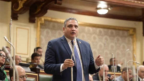  النائب عماد خليل