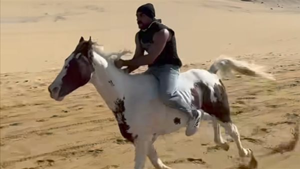 أحمد العوضي 