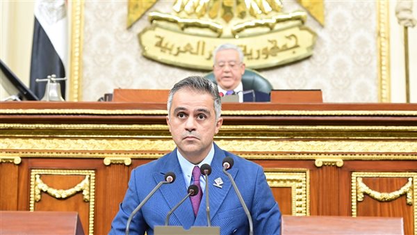 النائب أحمد فتحي