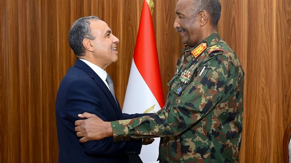 بدر عبد العاطي -