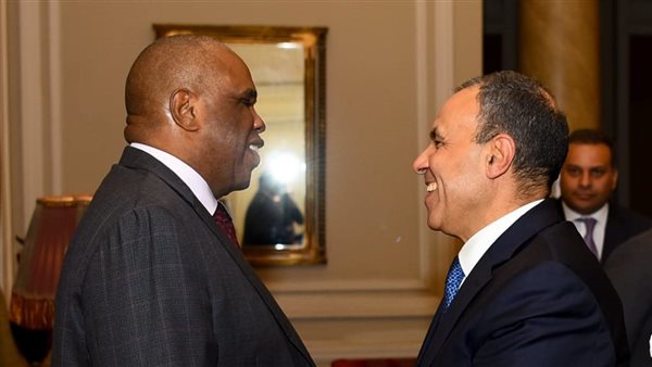 وزير الخارجية يستقبل