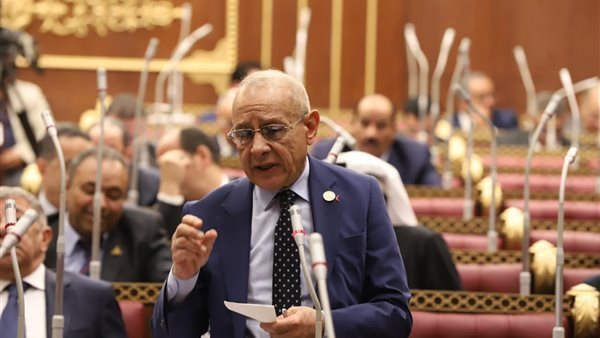 النائب عاطف علم الدين