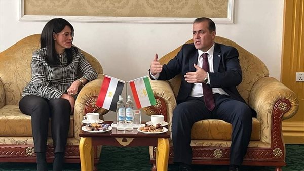 وزيرة التخطيط 