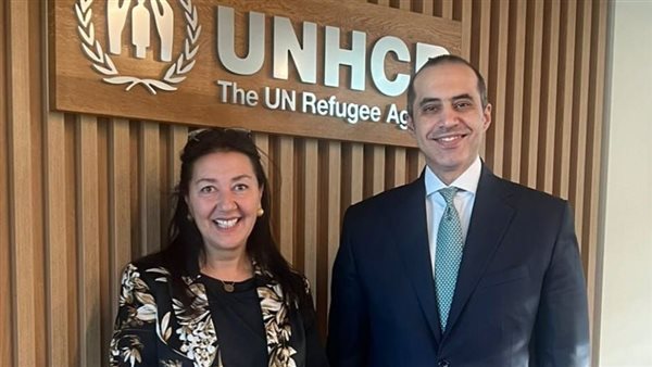 المستشار محمود فوزي