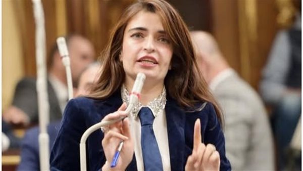 النائبة ايرين سعيد،