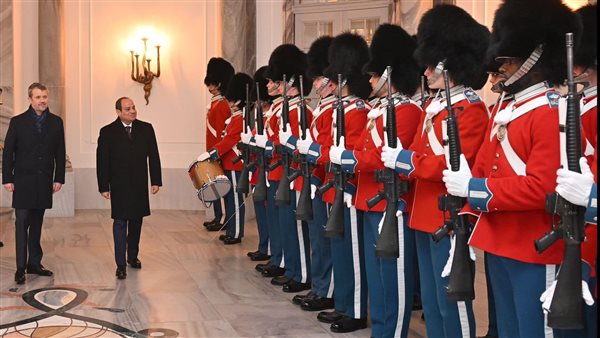 الرئيس السيسي 