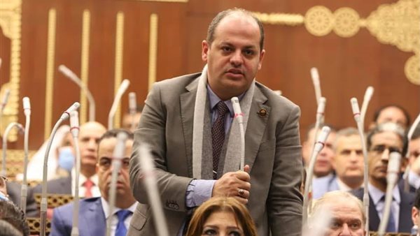 النائب أحمد عبد الماجد