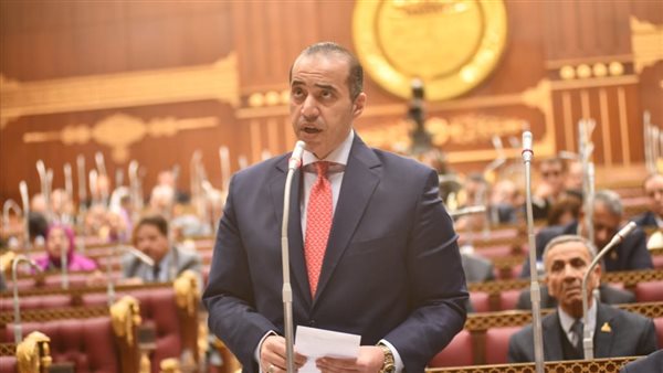 الوزير فوزى