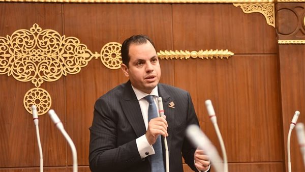 النائب أحمد فوزي،