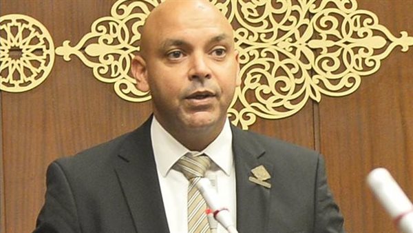 النائب محمود القط،