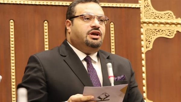 النائب أحمد القناوي،