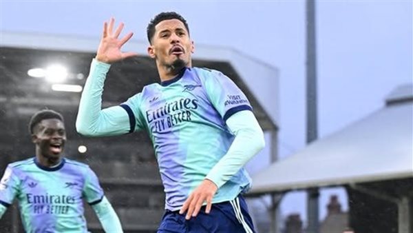 ويليام ساليبا