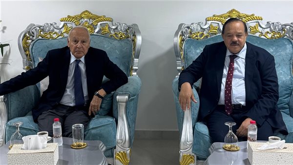 أبو الغيط - على يوسف