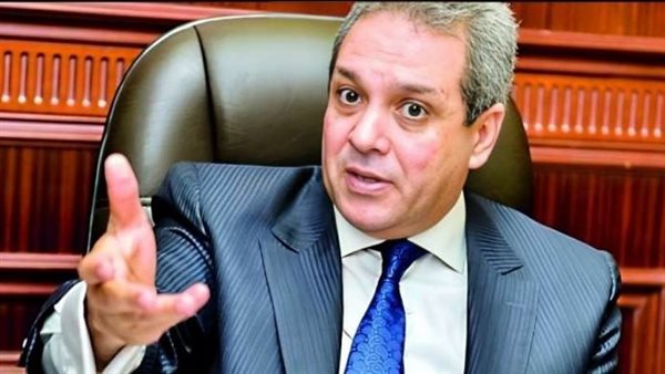 المستشار أحمد حلمي